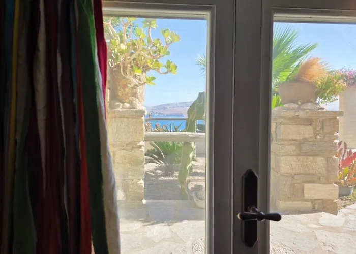 Anthippi (adults Only)