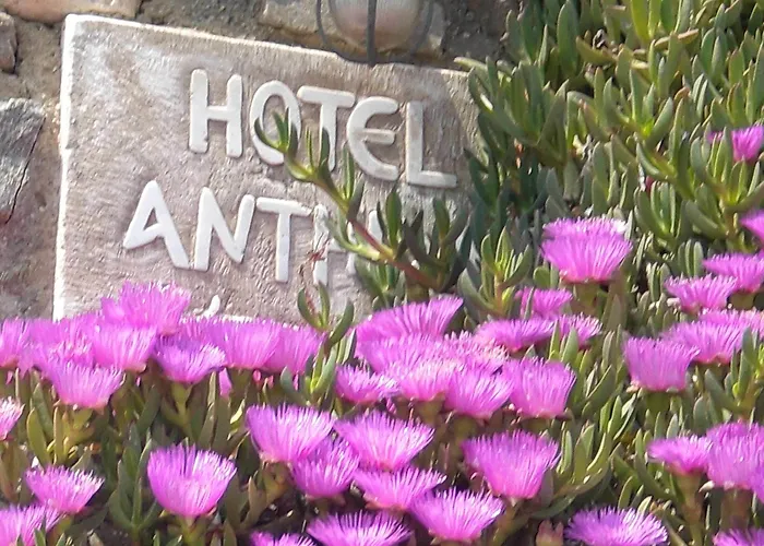 Aparthotel Anthippi (adults Only) Parikia (Paros)
