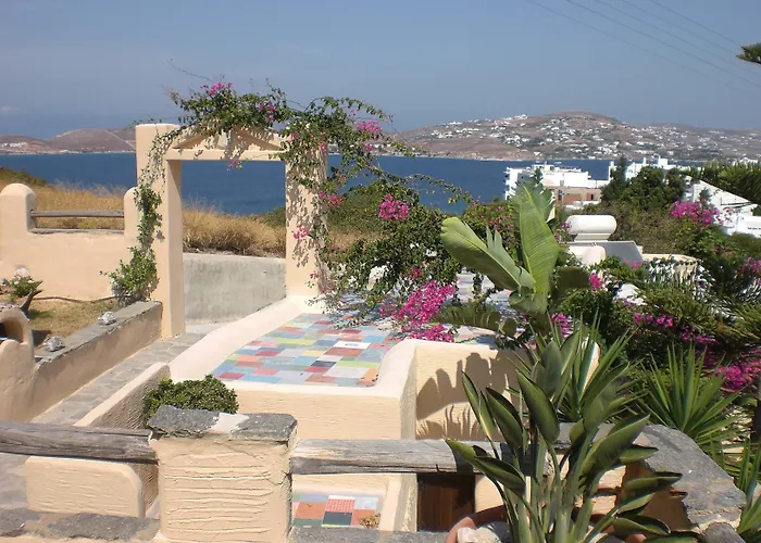 Anthippi (adults Only)