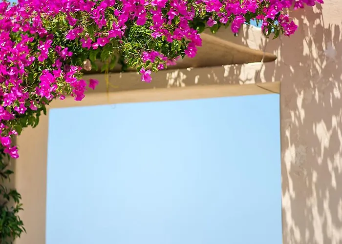 Anthippi (adults Only)